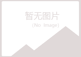 龙陵县字迹工程有限公司